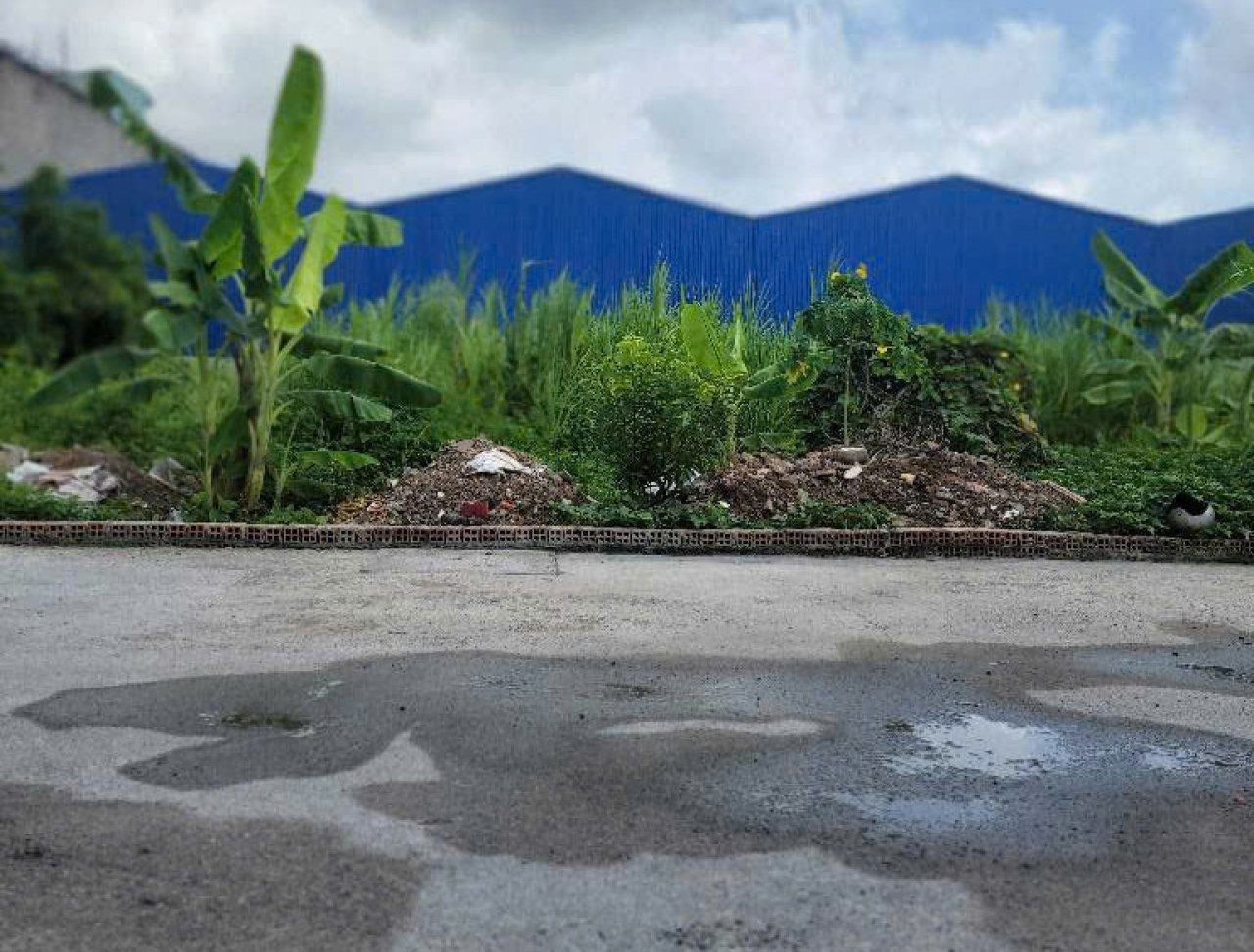 Đất vuông đẹp Hẻm xe tải 100m2 – Thạnh Xuân 47 Q12 - Ảnh 3